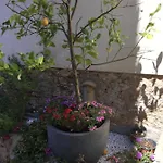 Archimede 3* Floridia