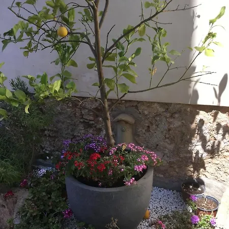 Archimede * Floridia